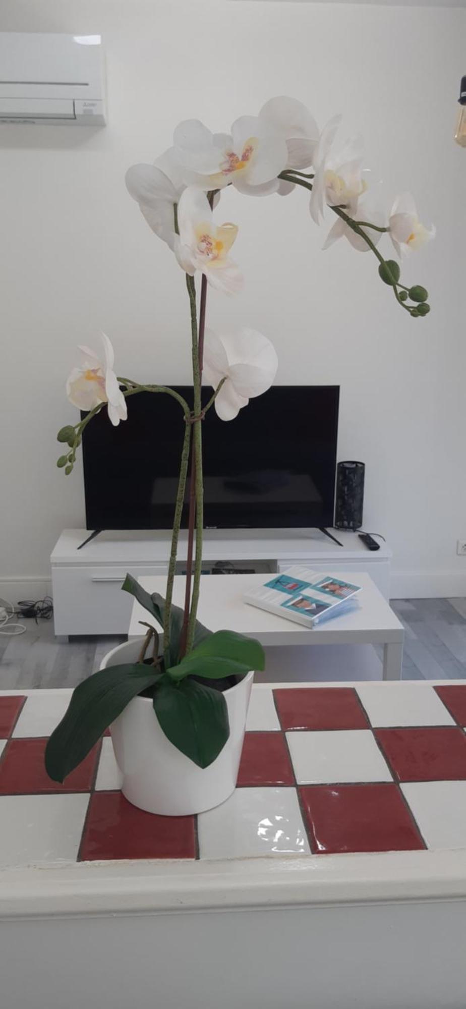 Logement Le Serein Toulon Exterior foto
